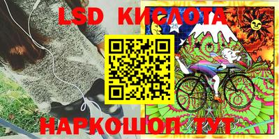 прущие грибы Ливны