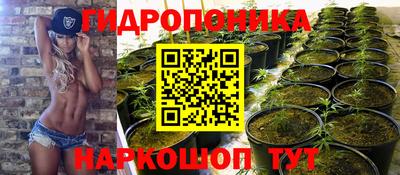 эйфоретик Абинск