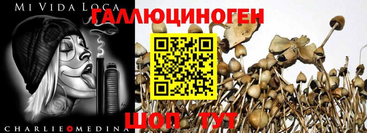 Галлюциногенные грибы мухоморы Рославль