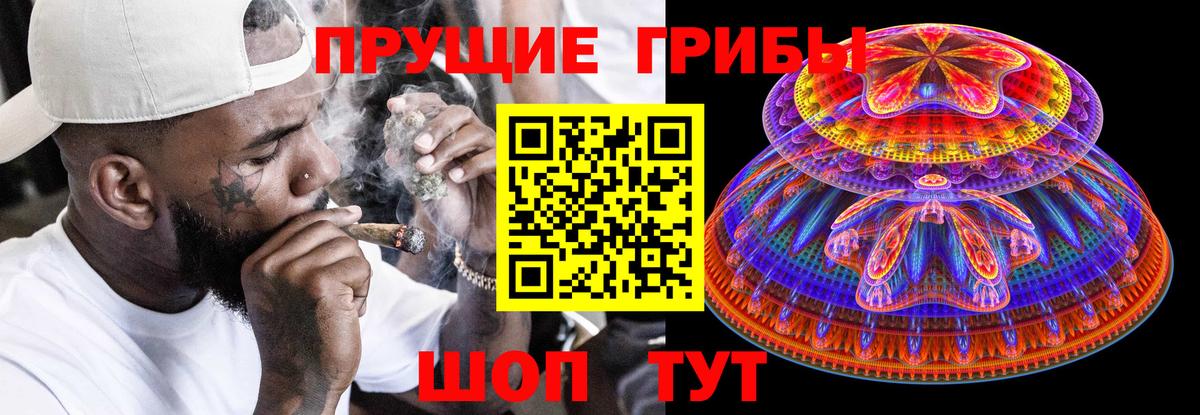 Рославль  Галлюциногенные грибы Psilocybe  Вход с VPN 