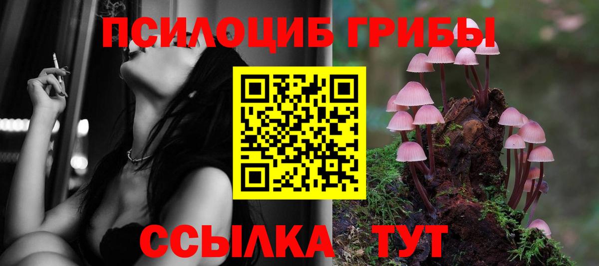 Псилоцибиновые грибы ЛСД  Вход с VPN  даркнет сайт  Рославль 