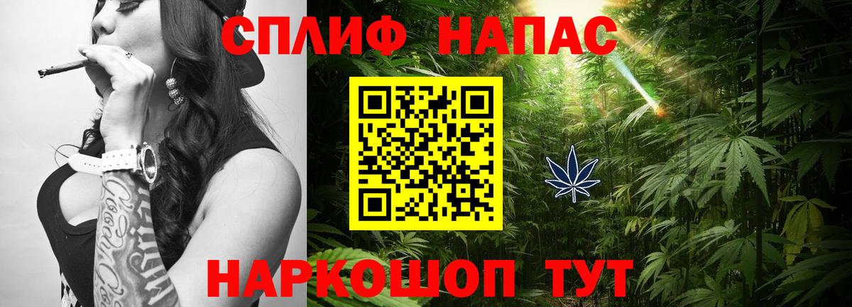Каннабис AK-47  Вход с VPN  Бошки марихуана индика  Каннабис Amnesia  Марихуана VHQ  Рославль 